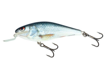 Salmo Wobler Executor Shallow Runner 12Cm Real Dace