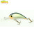 Gloog Parys 40N - 4cm/2.5gr (Floating) - RGF (Roach Green Fluo)