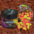 Wafters Wlc Carp 2 Color Strawberry 14mm